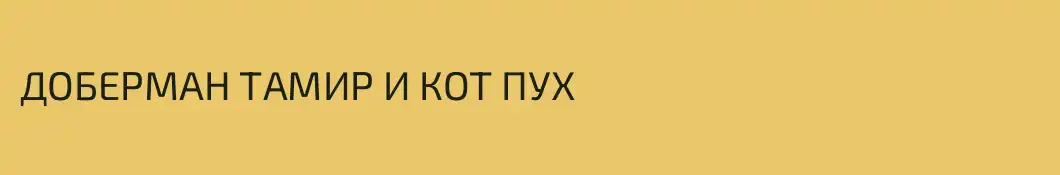ДОБЕРМАН ТАМИР И КОТ ПУХ